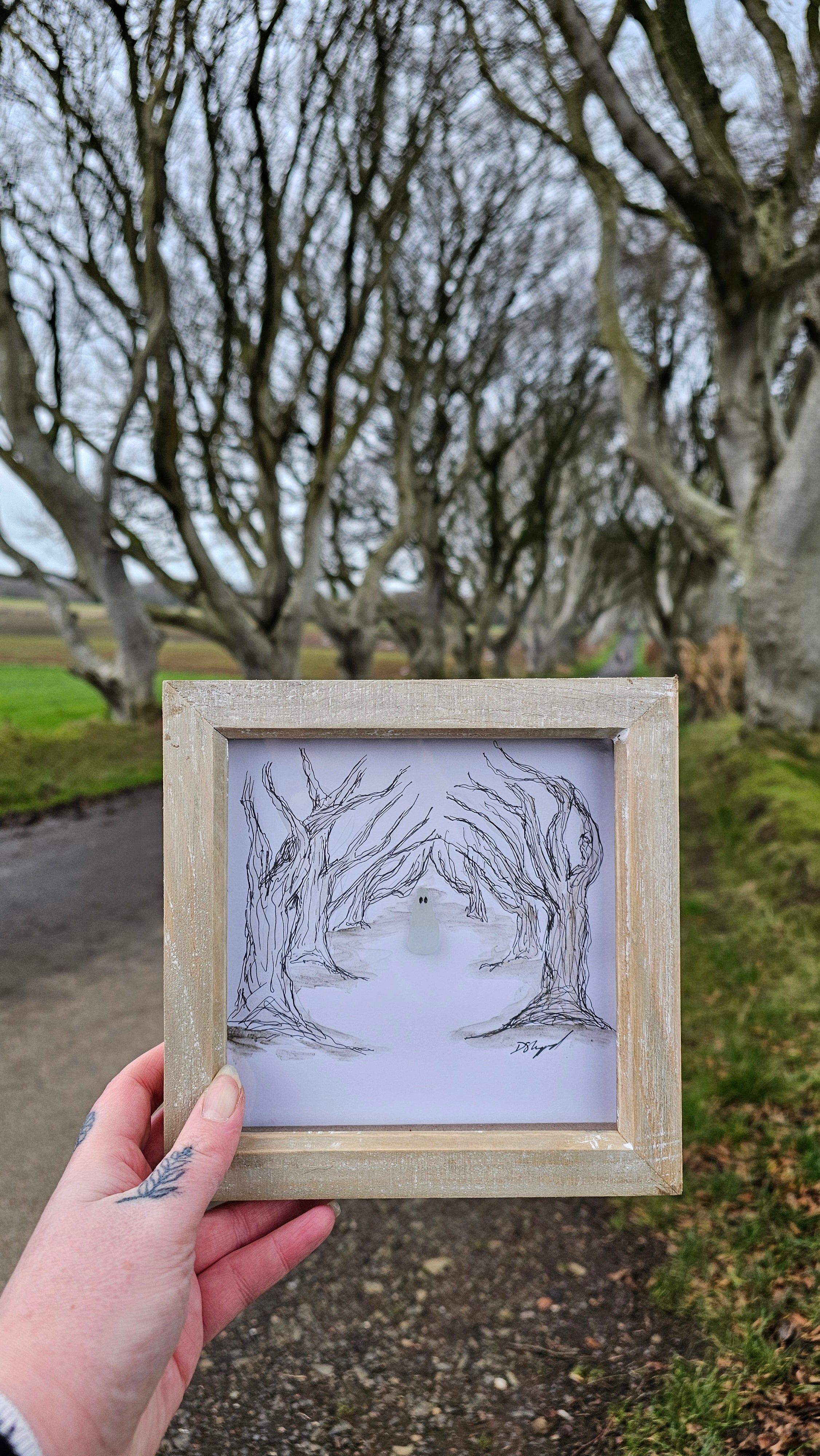 Dark Hedges Ghost