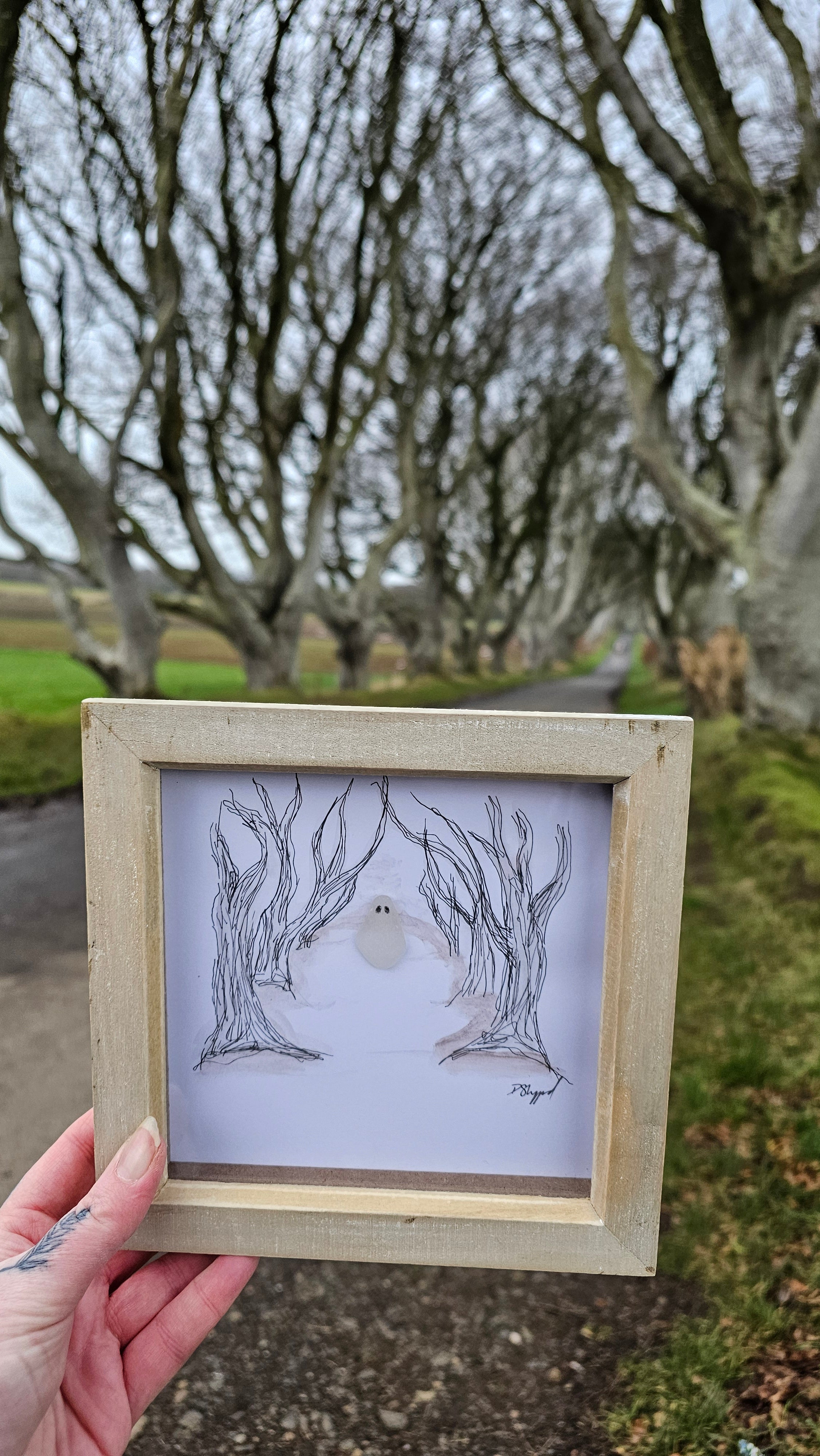 Dark Hedges Ghost
